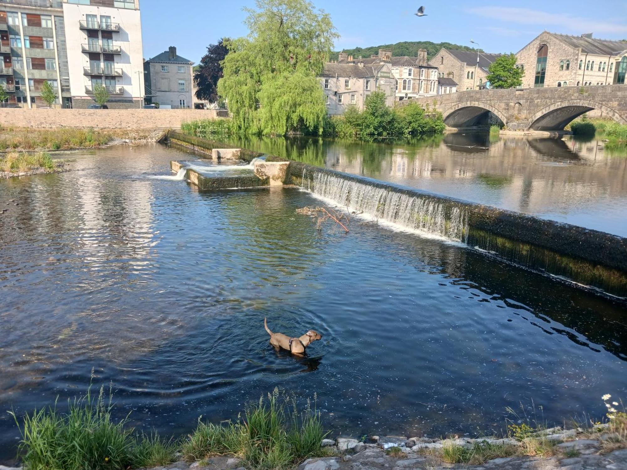 Arthurs Cottage -Charming Courtyard Cottage In The Heart Of Kendal, The Lake District 外观 照片